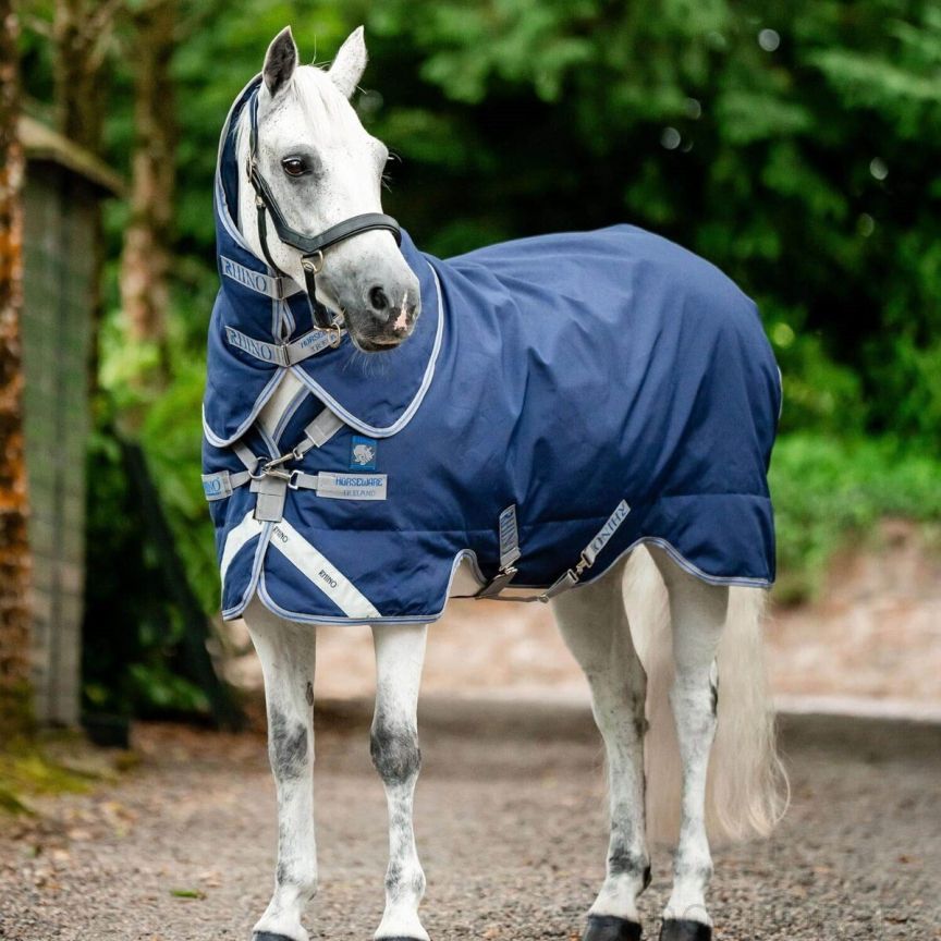 Rhino Pony Plus