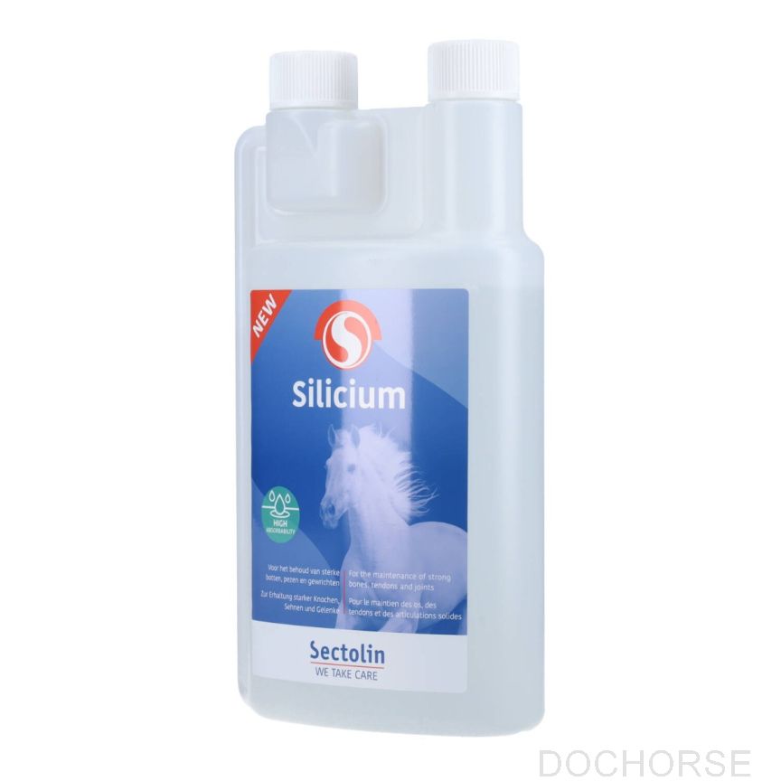 Sectolin Silicium 1000 ml