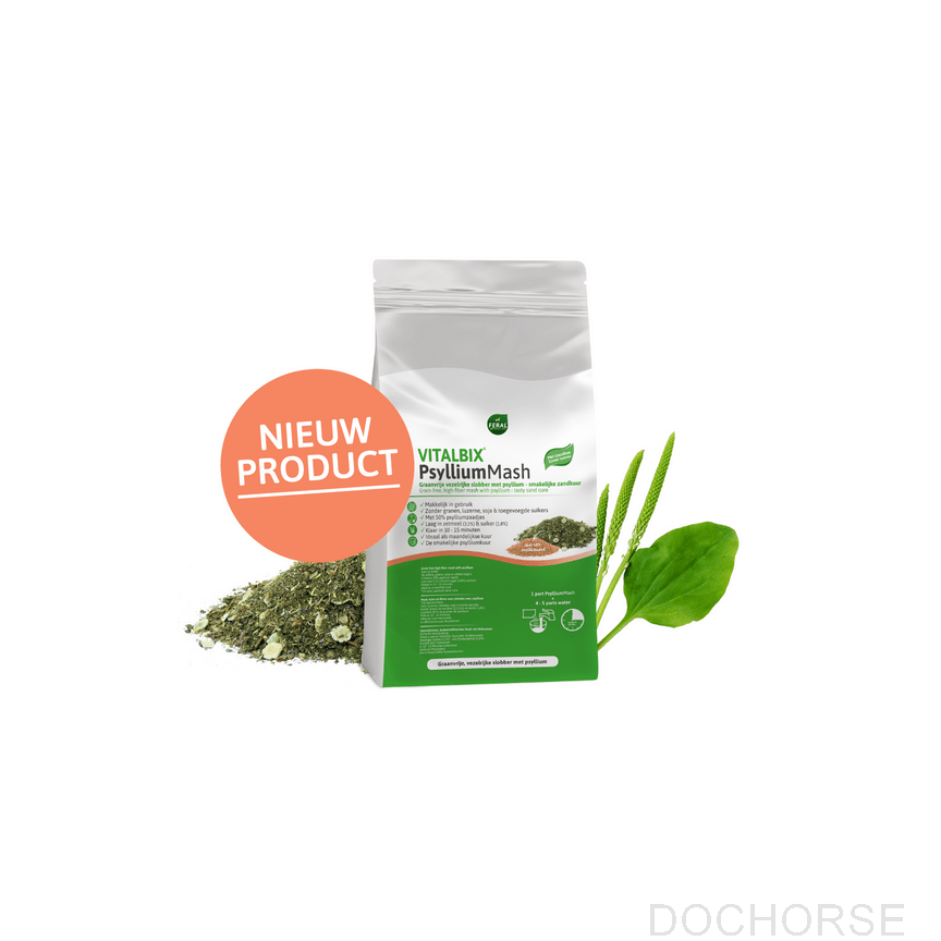 Vitalbix PsylliumMash