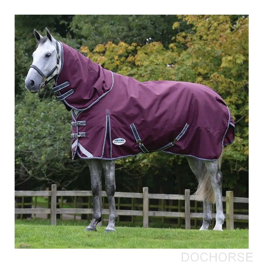 Weatherbeeta Comfitec Plus Dynamic + Hood Lite 100 G