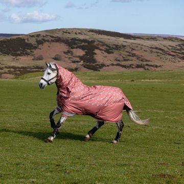 LeMieux Arika Star Turnout Rug 0g