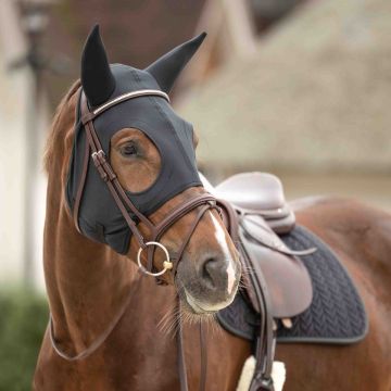 Lami-Cell Titanium Mask + Ears