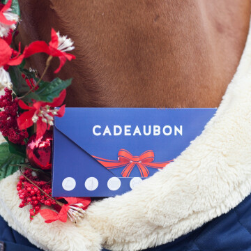 Dochorse gift card