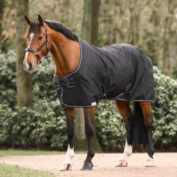 Dominick Summersheet Lite