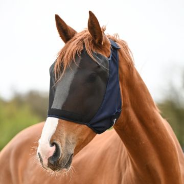 Stübben Dänische Garde doppelt gebrochen