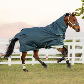 Lemieux Arika 600D Turnout Rug Lagoon 50G