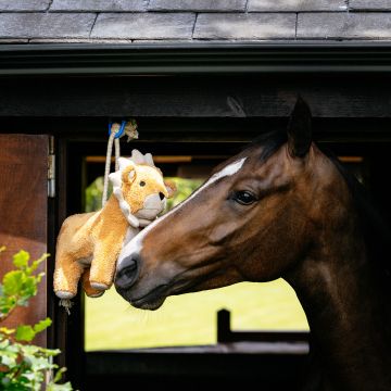 LeMieux Plush Horse Toy Lion