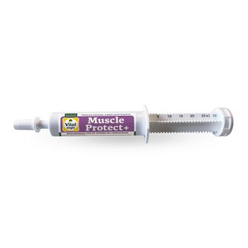 Vitalstyle Muscleprotect+ Paste