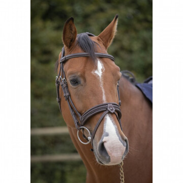 Penelope Elégance Bridle