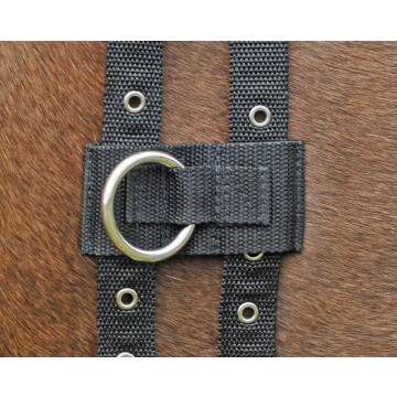 Busse side reins ring
