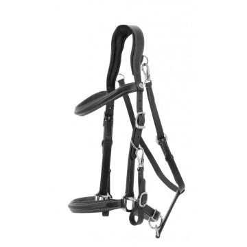 Norton Bridle Trekking Halter